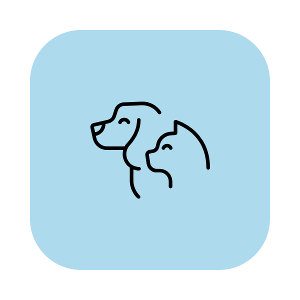Mascotas